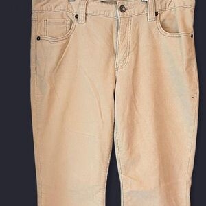 GAP Men's Khaki Chinos